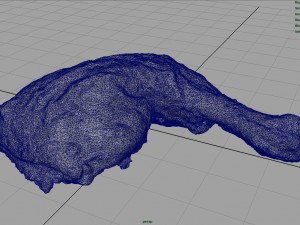 chicken thigh Model 3D