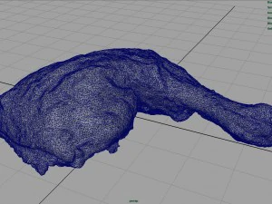 chicken thigh 3D Model
