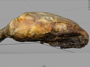 chicken thigh Model 3D