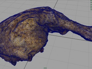 chicken thigh Model 3D