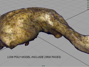 chicken thigh 3D Model