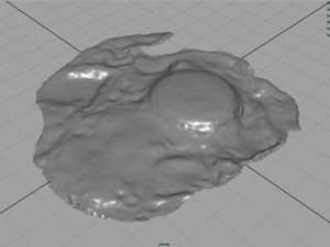 смажене яйце 3D Модель