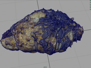 chocolate croissant 3D 모델