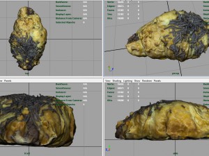 chocolate croissant 3D 모델