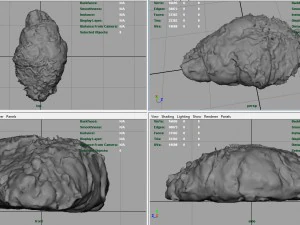chocolate croissant 3D Model