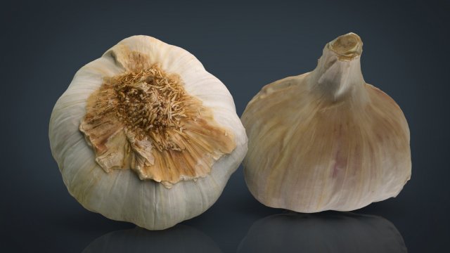 garlic 3D 模型 .c4d .max .obj .3ds .fbx .stl .blend 