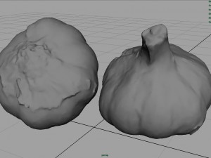 garlic 3D 模型