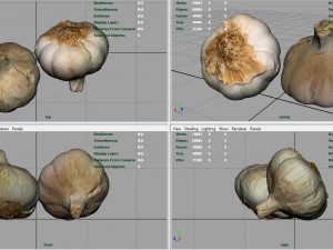 garlic 3D 模型