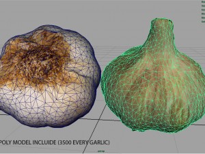 garlic 3D 模型