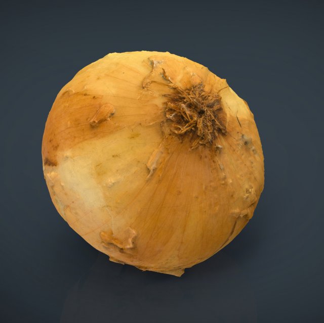 onion 3D Модель .c4d .max .obj .3ds .fbx .stl .blend 