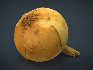 onion 3D Модель