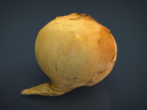 onion 3D Модель