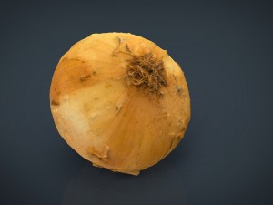 onion 3D Модель