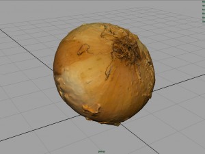onion 3D Модель