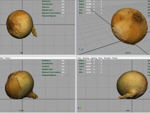 onion 3D Модель