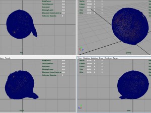 onion 3D Модель