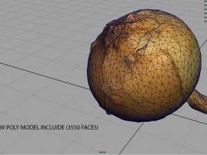 onion 3D Модель