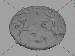 chocolate cookie 3D Model