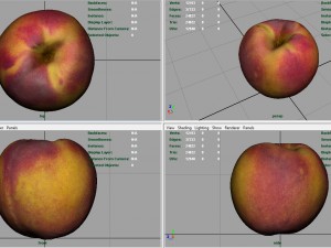 peach Modello 3D
