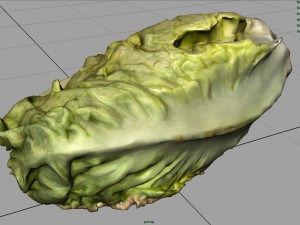 letucce 3D Model