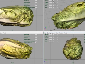 letucce 3D Model