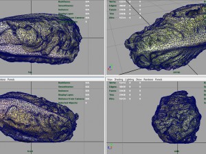 letucce 3D Model
