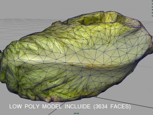 letucce 3D Model