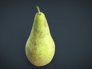 realistic pear Modelo 3D