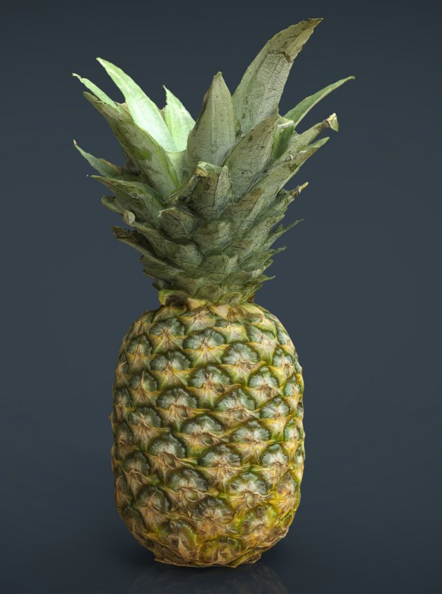 ananas 3D Model .c4d .max .obj .3ds .fbx .stl .blend 