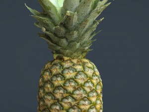 ananas 3D Models