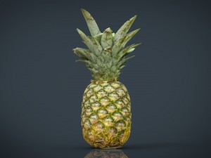 ananas 3D Model