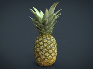 ananas 3D Model