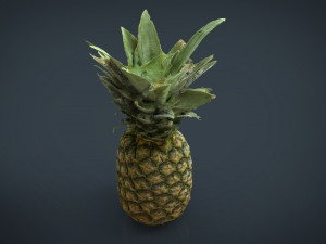 ananas 3D Model