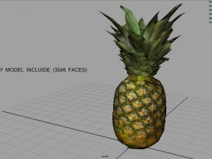 ananas 3D Model