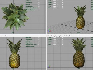 ananas 3D Model