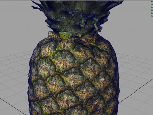 ananas 3D Model