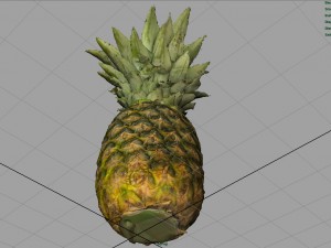 ananas 3D Model