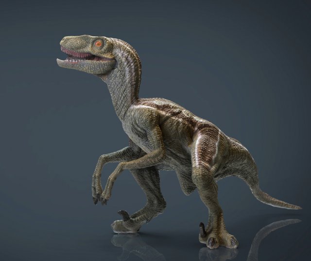 velociraptor Modello 3D .c4d .max .obj .3ds .fbx .stl .blend 