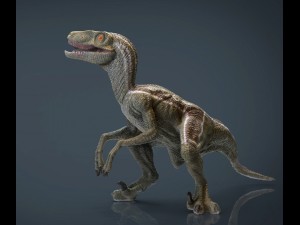 velociraptor 3D Модель