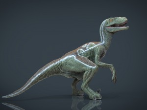 velociraptor Modello 3D