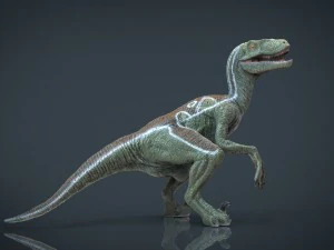 velociraptor 3D Model