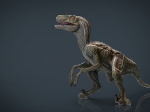 velociraptor Modello 3D