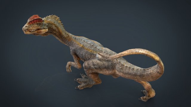 dilophosaurus Model 3D .c4d .max .obj .3ds .fbx .stl .blend 