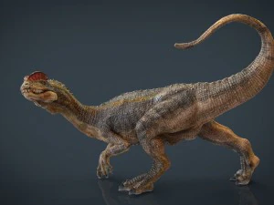 dilophosaurus 3D Model