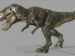 tyrannosaurus rex 3D Model