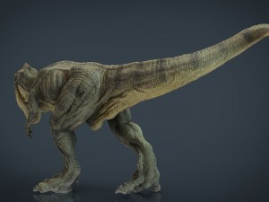 tyrannosaurus rex 3D Model