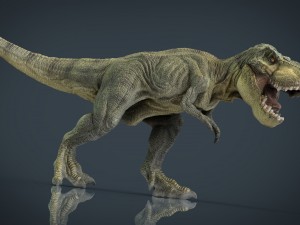 tyrannosaurus rex 3D Model