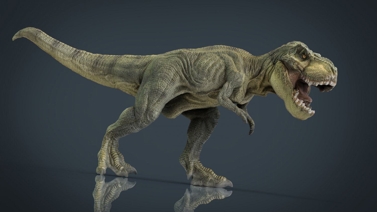 Zwierząt. tyrannosaurus rex Modele 3D. 