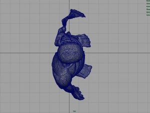 human body anatomy model 3D Model