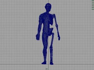 human body anatomy model Modelo 3D